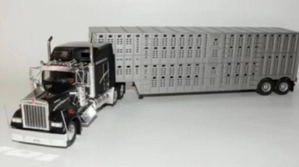 Kenworth W900 1991 VEETRANSPORT schaal 1/43 US trucks # 59