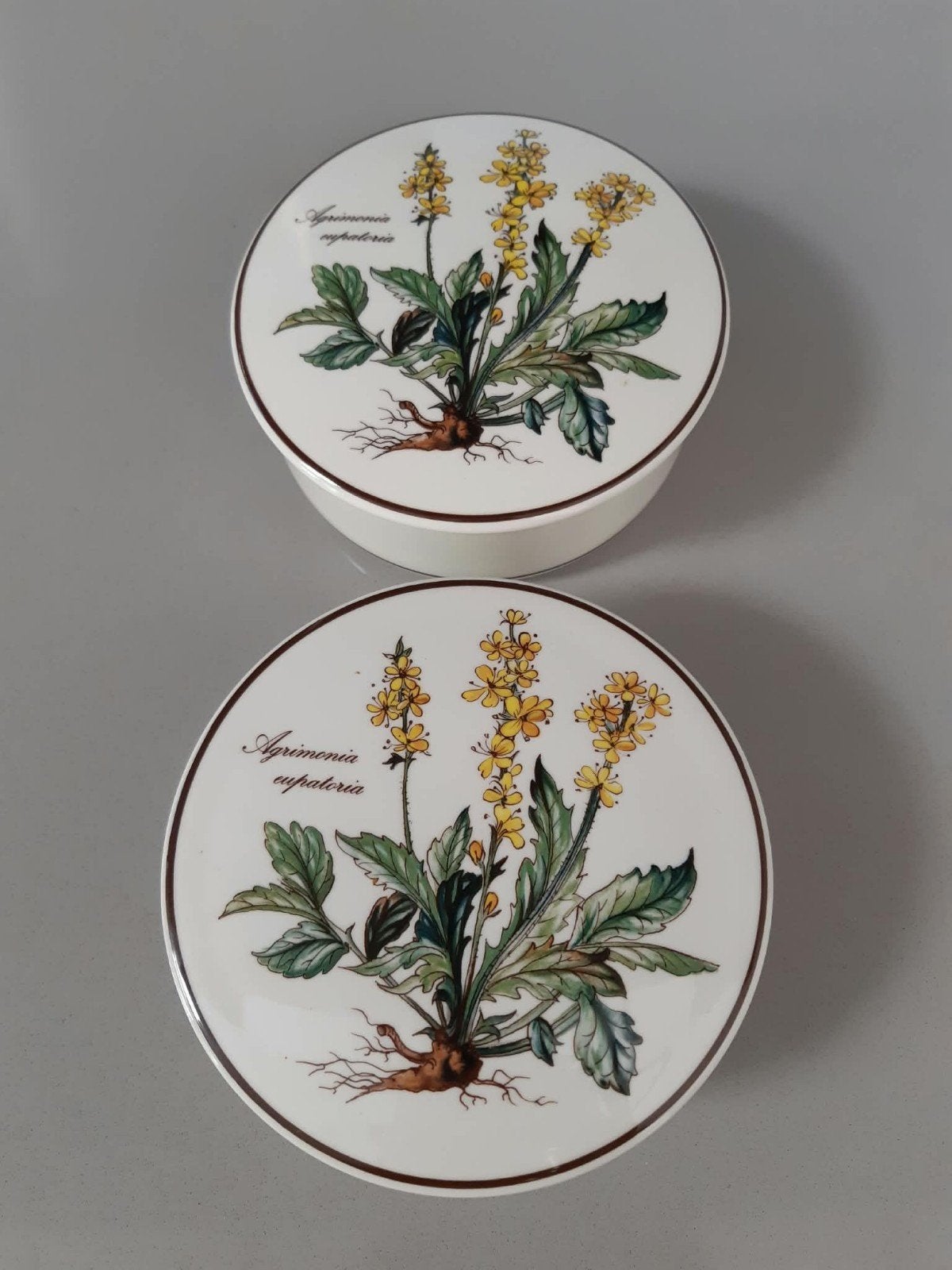 Dekseldoos bonbondoos Villeroy en Boch Botanica, Ophalen of Verzenden, Overige stijlen, Porselein, Schaal of Schalen