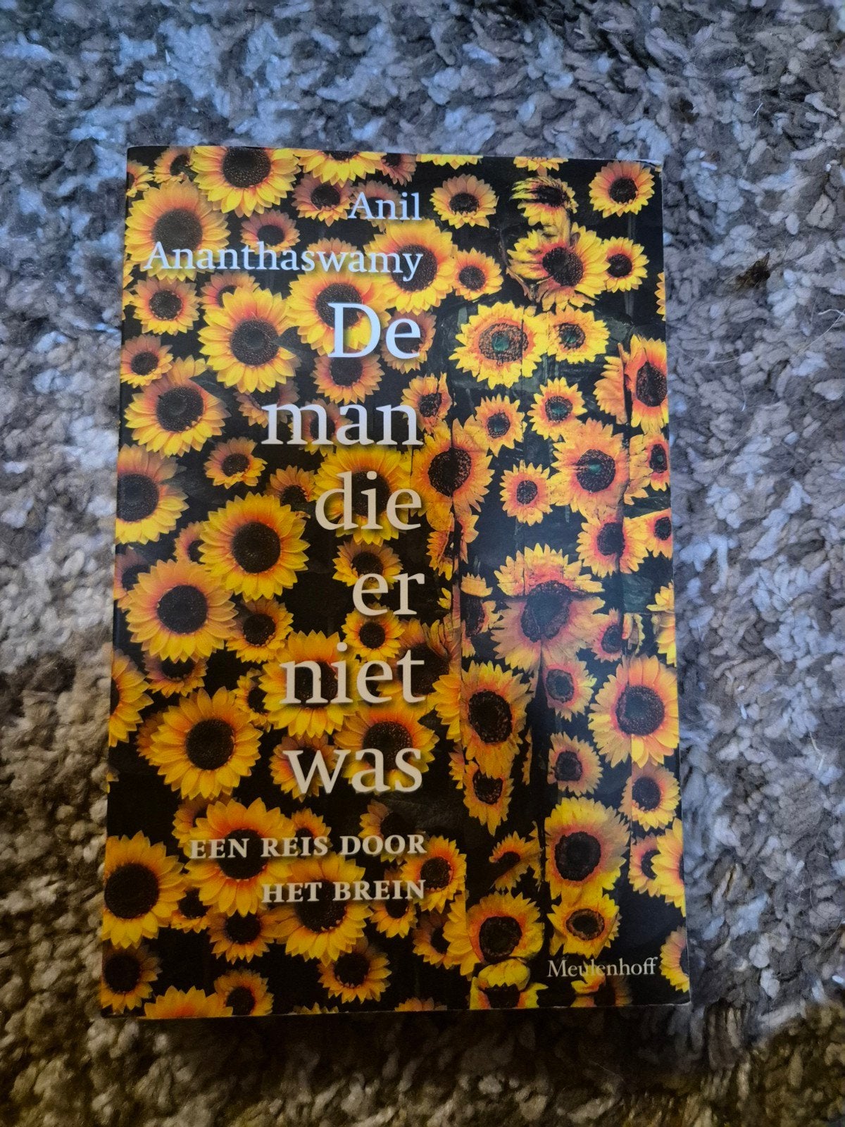 Anil Ananthaswamy - De man die er niet was, Boeken, Ophalen of Verzenden, Zo goed als nieuw, Anil Ananthaswamy