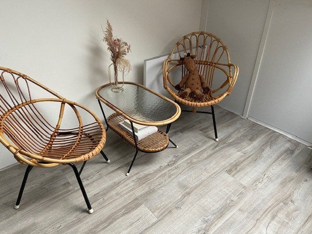 Vintage Rotan Set: Rohé Noordwolde Fauteuils & Salontafel, Ophalen
