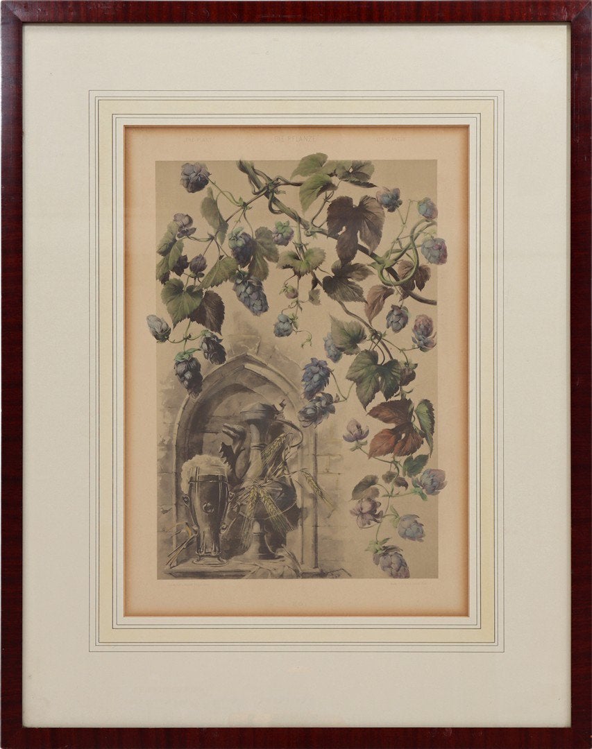 Oostenrijks/Duitse kleurenlitho ingrediënten voor biermaken, Ingelijst, Ophalen of Verzenden, Overige onderwerpen, Lithografie