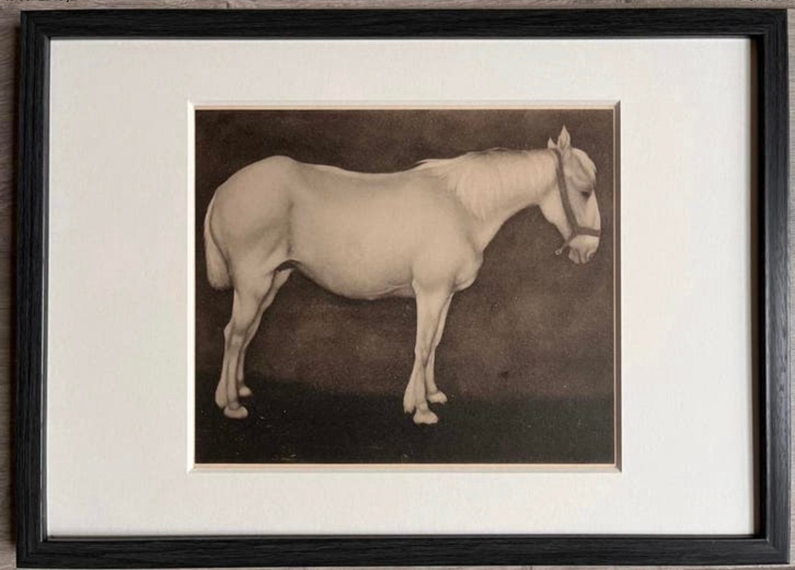 Jan Mankes 1889-1920 / Heliogravure Wit Paard 1923, Antiek en Kunst, Kunst | Etsen en Gravures, Verzenden, Gravure, 32 cm, Origineel