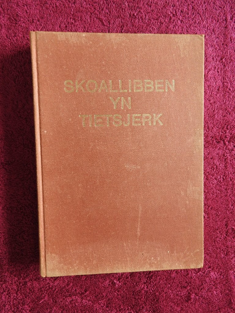 Skoallibben yn Tietsjerk - Tytjerk, Boeken, Geschiedenis | Stad en Regio, Ophalen of Verzenden, Gelezen
