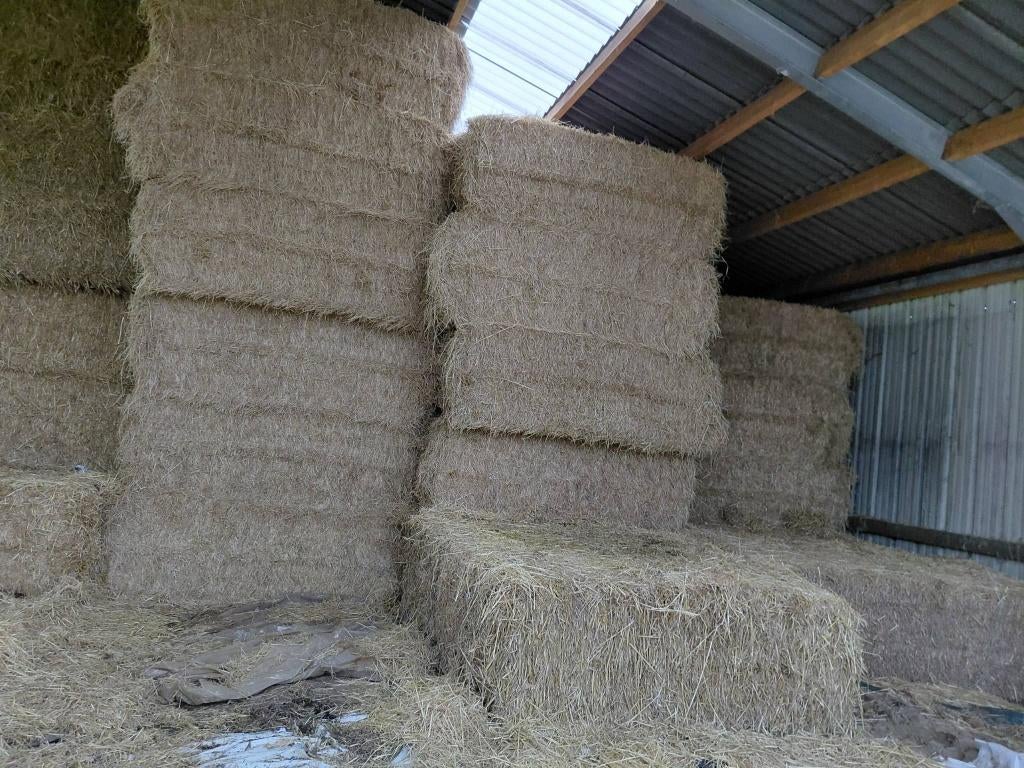 Hooi, Dieren en Toebehoren, Ophalen, Vee
