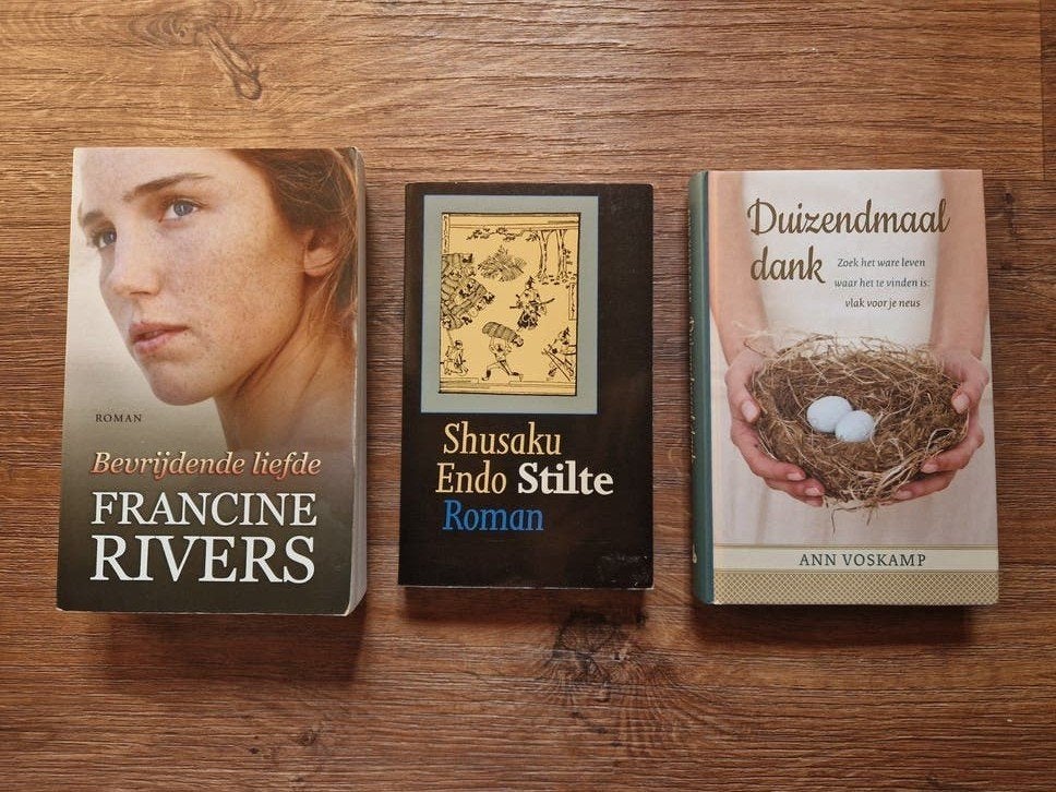 COMBIDEAL: 3 populaire christelijke boeken, Boeken, Ophalen of Verzenden, Gelezen, Francine Rivers, Shusaku Endo, Ann Voskamp