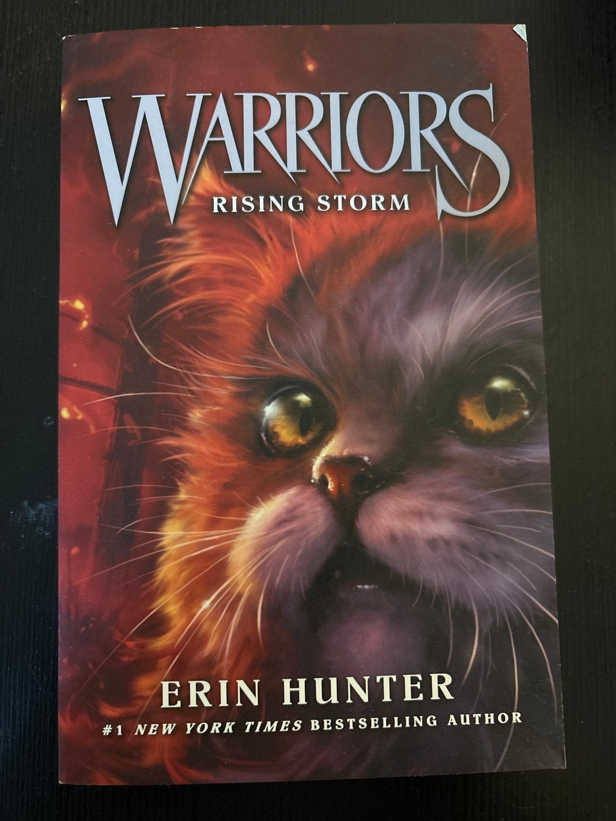Warriors: Rising Storm - Erin Hunter (Engels), Ophalen of Verzenden, Gelezen