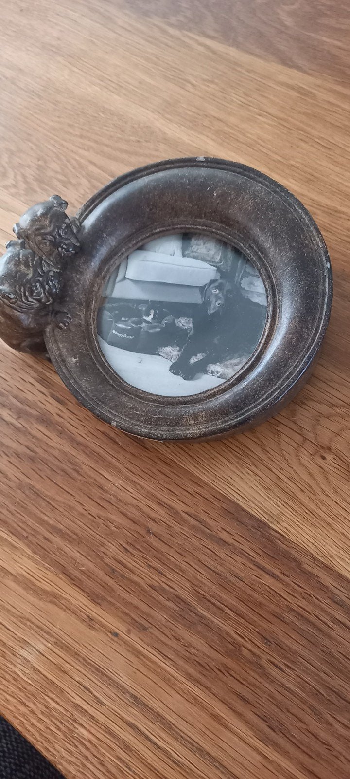 Leuke fotolijstjes met hondenfiguren, Gebruikt, Overige stijlen, Ophalen of Verzenden, Grijs