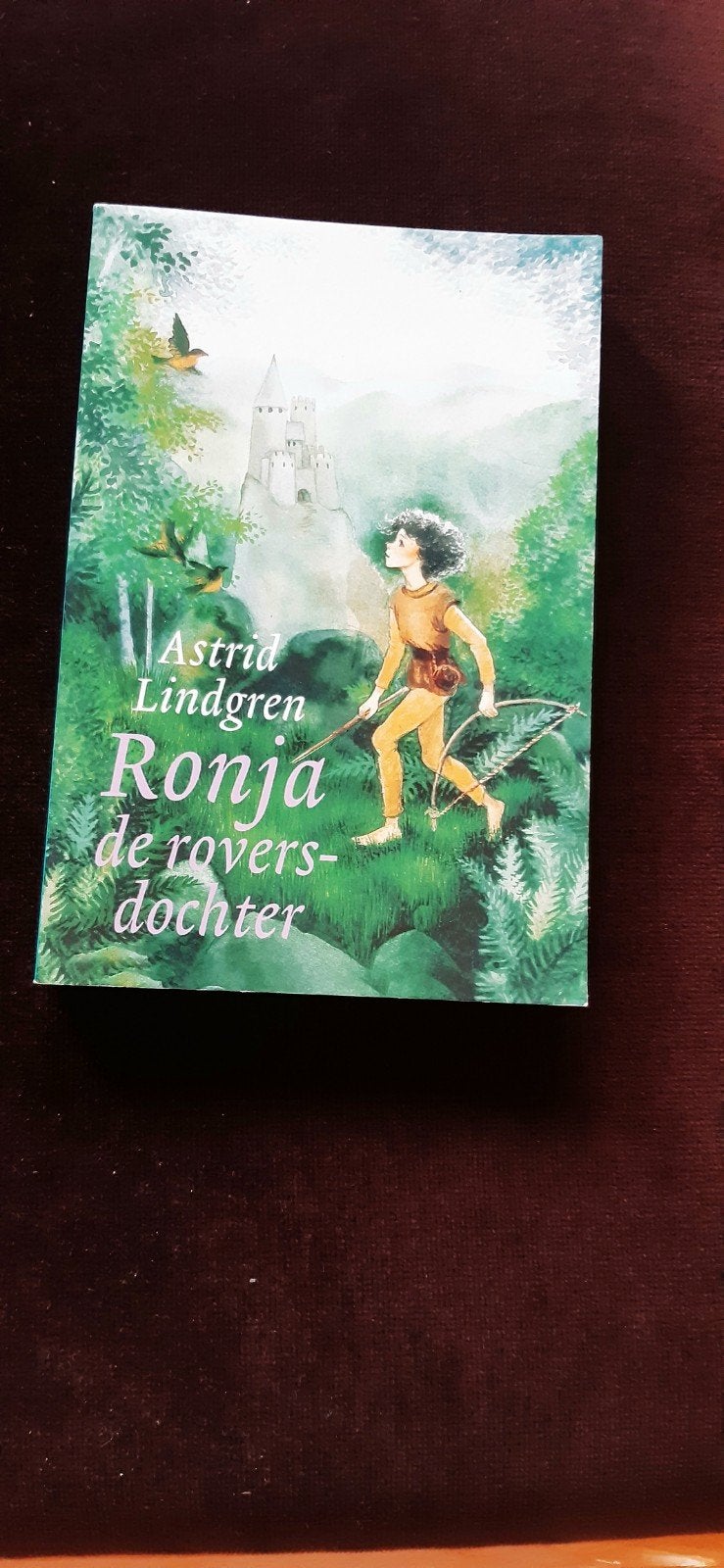 Astrid Lindgren   Anja de Roversdochter, Boeken, Ophalen of Verzenden, Zo goed als nieuw, Astrid Lindgren, Fictie algemeen