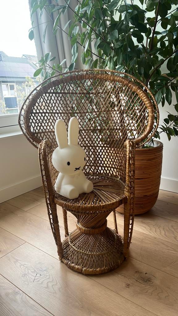 Rieten pauwstoeltje voor kinderen of als decoratie, Ophalen of Verzenden, Zo goed als nieuw, Stoel(en)