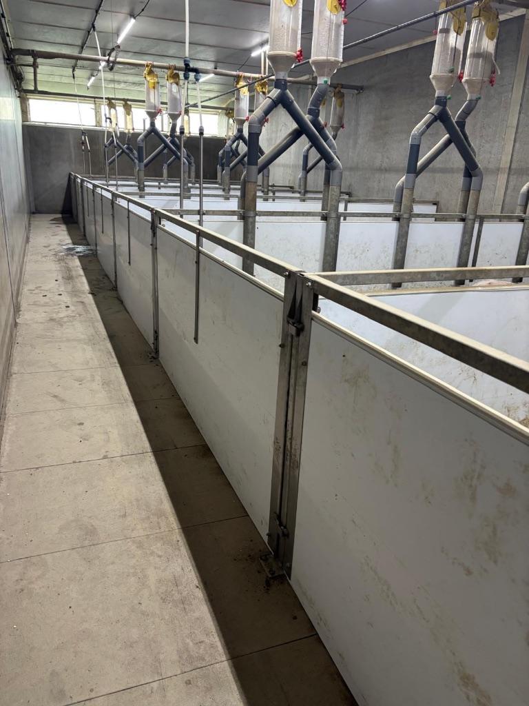 Hokinrichting voor opfok gelten [280], Boekhorst Trading, Info@boekhorsttrading.com, Singel 16, Opfok