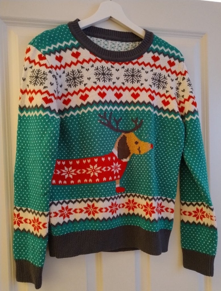 Kerst trui teckel, Ophalen of Verzenden, Zo goed als nieuw