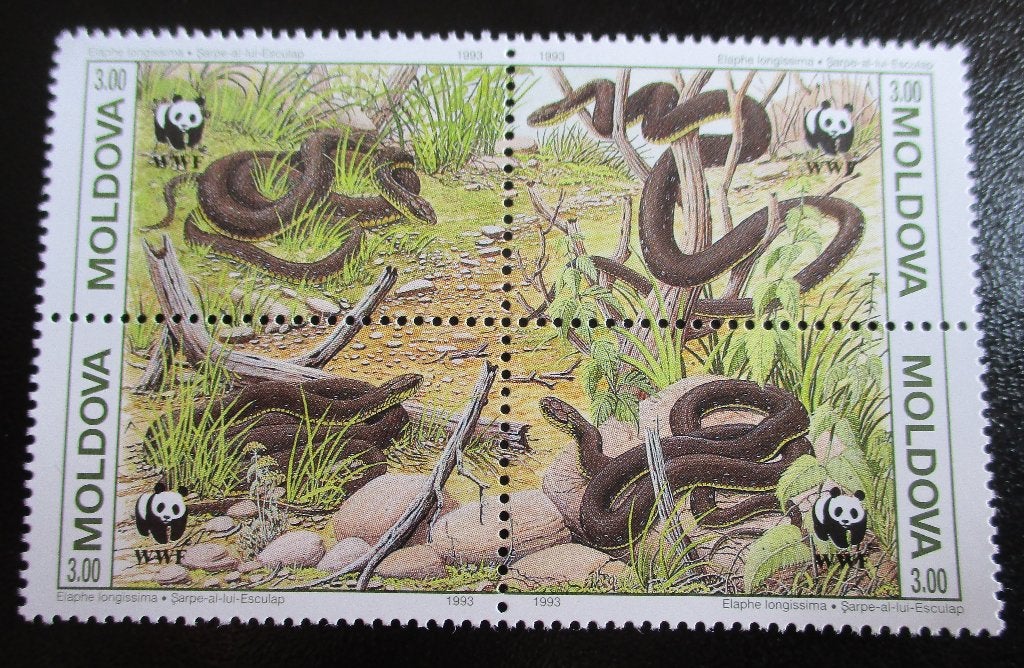 Moldavië, WWF serie  Esculaapslang, Verzenden, Postfris, Dier of Natuur