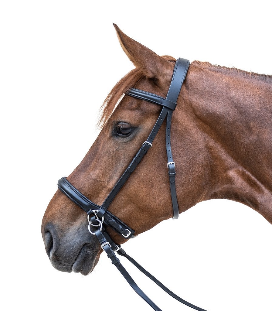 Nieuw Star Bitloos hoofdstel maat Pony, Dieren en Toebehoren, Paarden en Pony's | Hoofdstellen en Tuigage, Hoofdstel, Overige disciplines