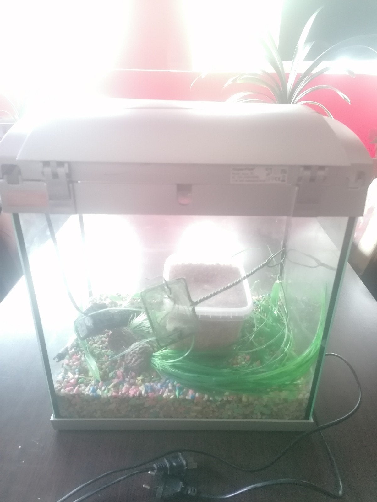 glazen aquarium 350x230x380cm, Ophalen, Leeg aquarium