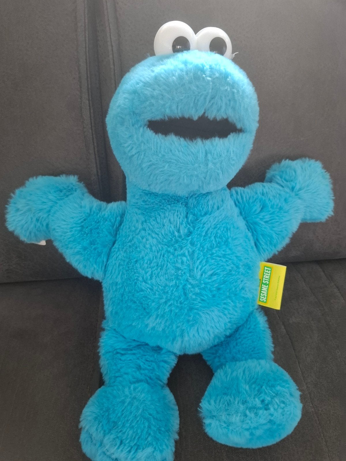Sesamstraat Koekiemonster knuffel, Kinderen en Baby's, Overige merken, Overige karakters, Overige typen, Blauw