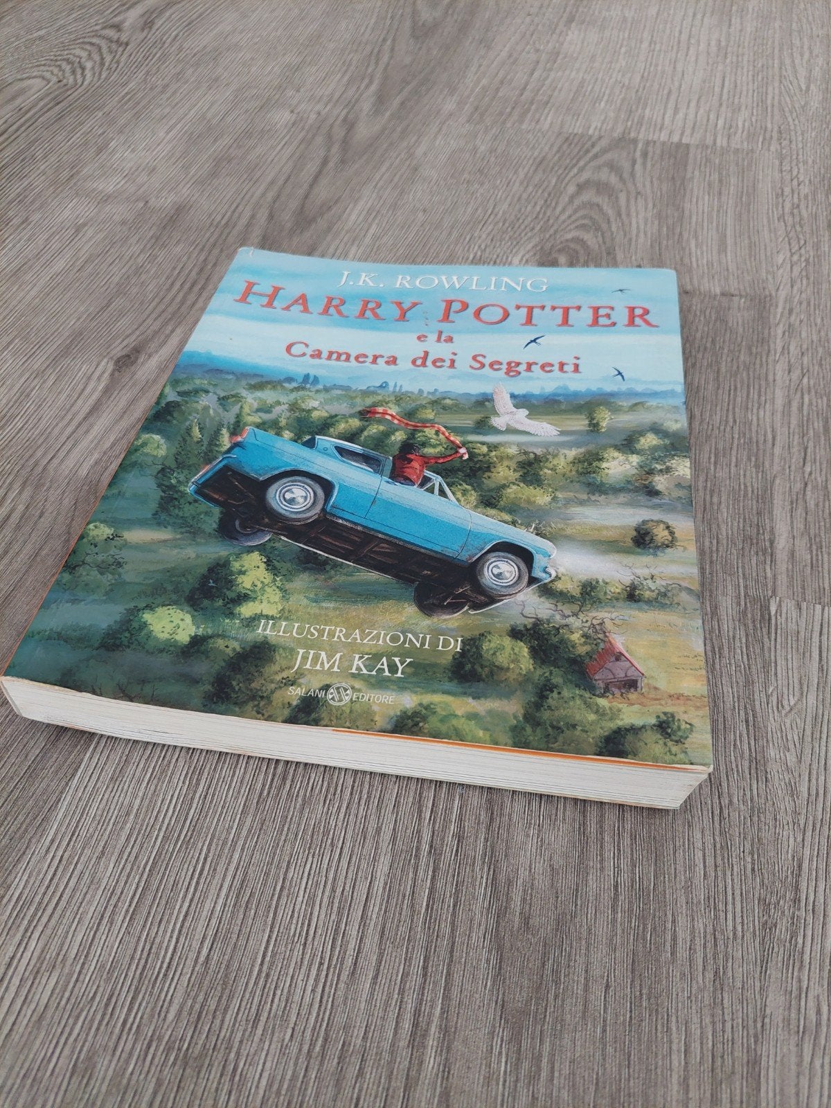 HARRY POTTER  "e la Camera dei Segreti" / Italiaanse uitgave, Verzenden, Zo goed als nieuw, Boek of Poster
