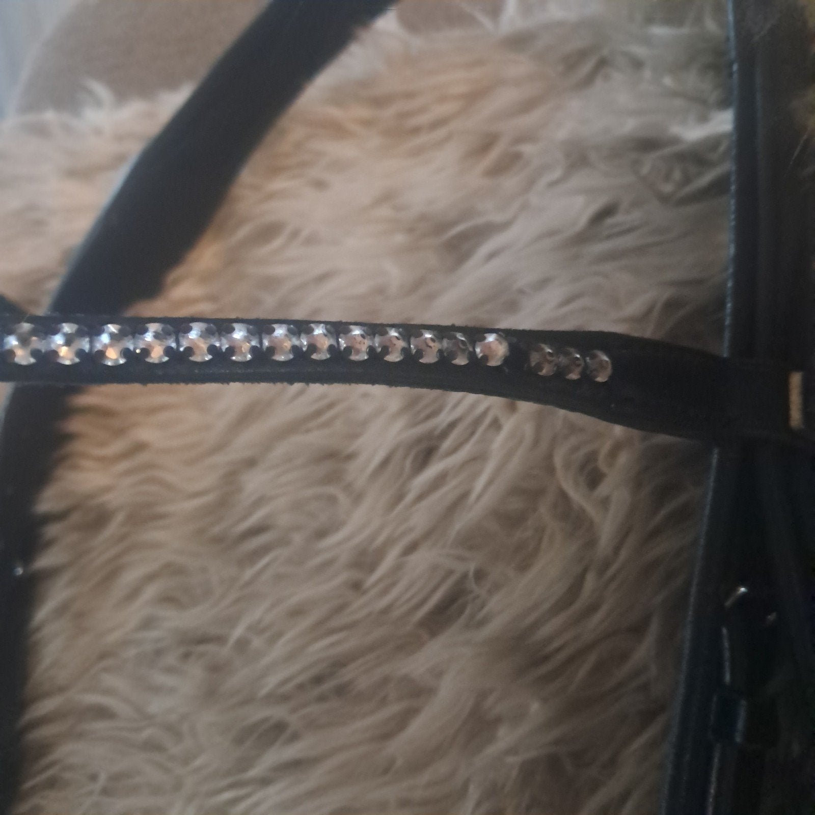 anky stang en trens hoofdstel, Ophalen, Zwart, Anky, Full