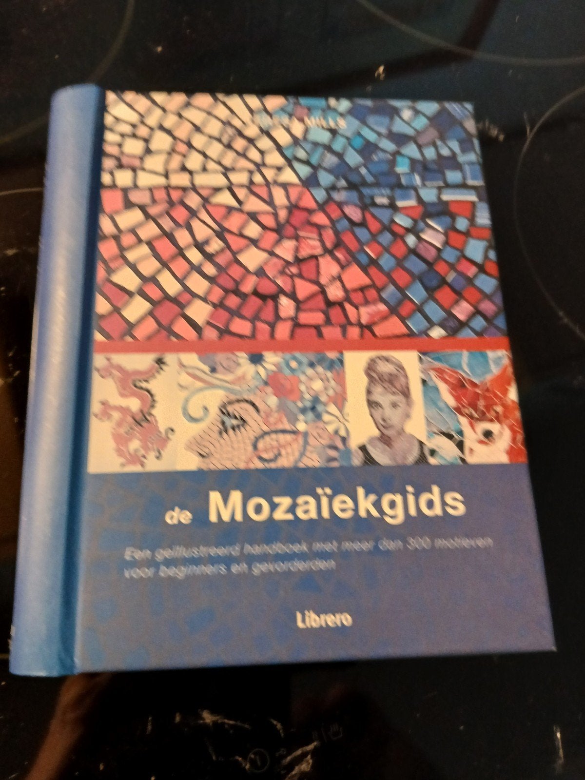 De Mozaïekgids: Geïllustreerd handboek voor mozaïek, Ophalen of Verzenden, Zo goed als nieuw, Overige onderwerpen, Tessa Miller