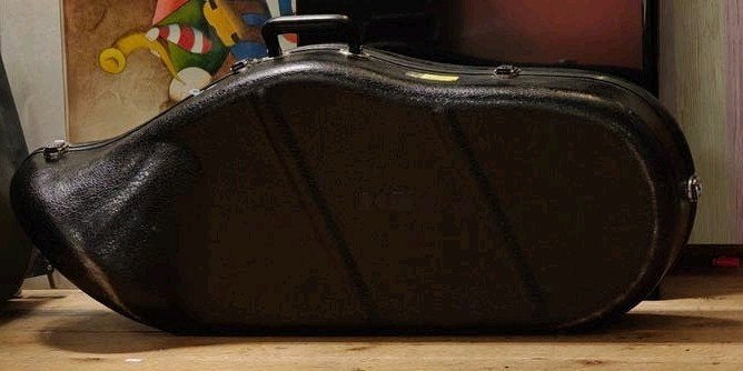 Gegoten koffer voor tenorhoorn/baritonhoorn, Ophalen of Verzenden, Gebruikt, Hoorn