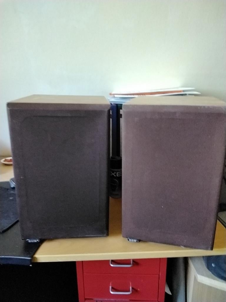 B&W DM12 Luidsprekers - Beukenbruin (H35xB22xD26), Gebruikt, Ophalen of Verzenden, Bowers & Wilkins (B&W), Minder dan 60 watt