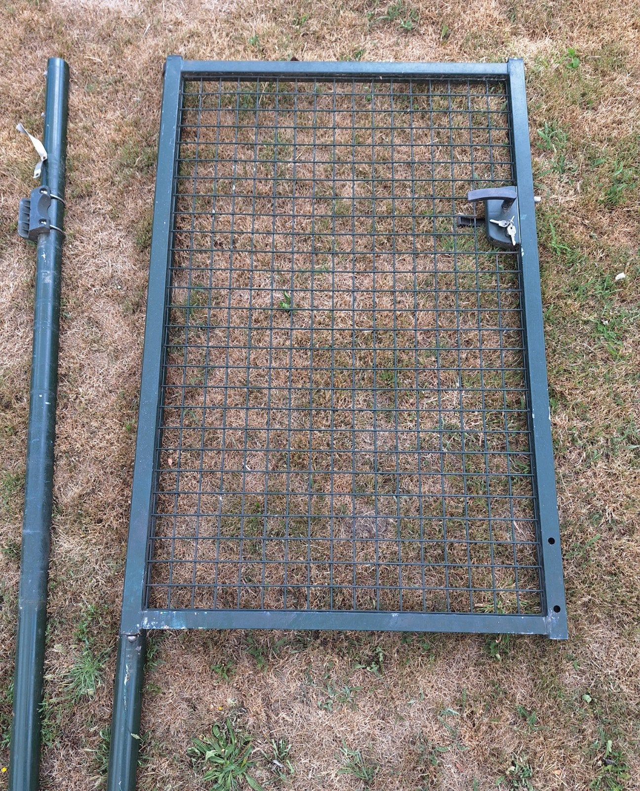 Gebruikt hekwerk met poort - Groen, Ophalen, Met poort, Gebruikt, Tuinhek