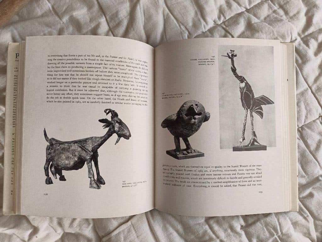 Picasso, Ophalen of Verzenden, Gelezen, Schilder- en Tekenkunst, Meerdere auteurs