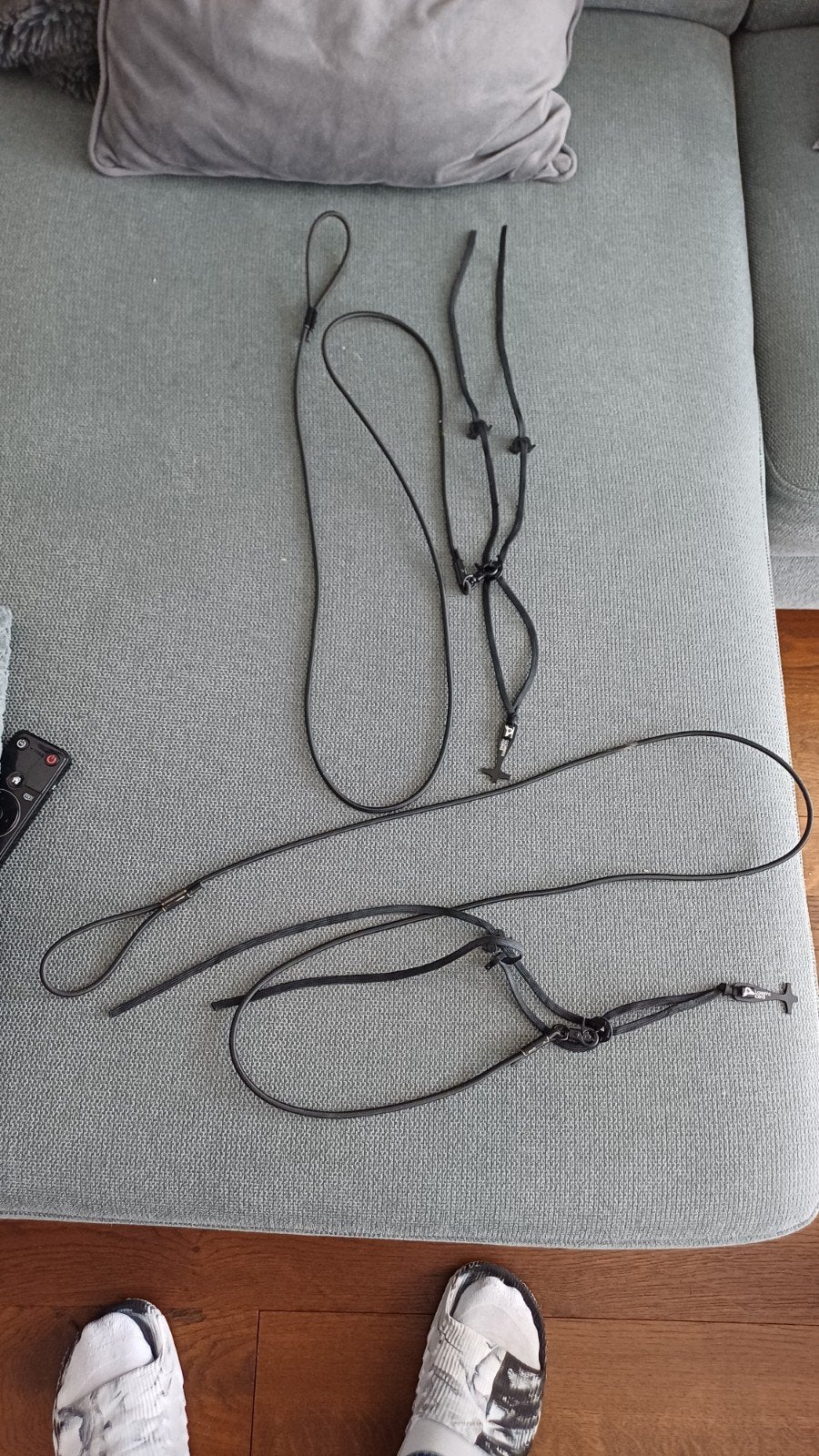harness/tuigje papegaaien tuigje XL, Meerdere dieren, Papegaai