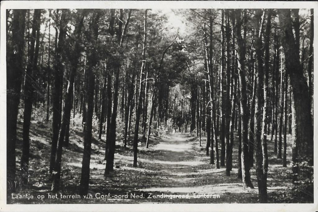 Lunteren, Laantje, Conf.oord Ned. Zendingsraad, bos, Verzenden, 1940 tot 1960, Gelopen, Gelderland