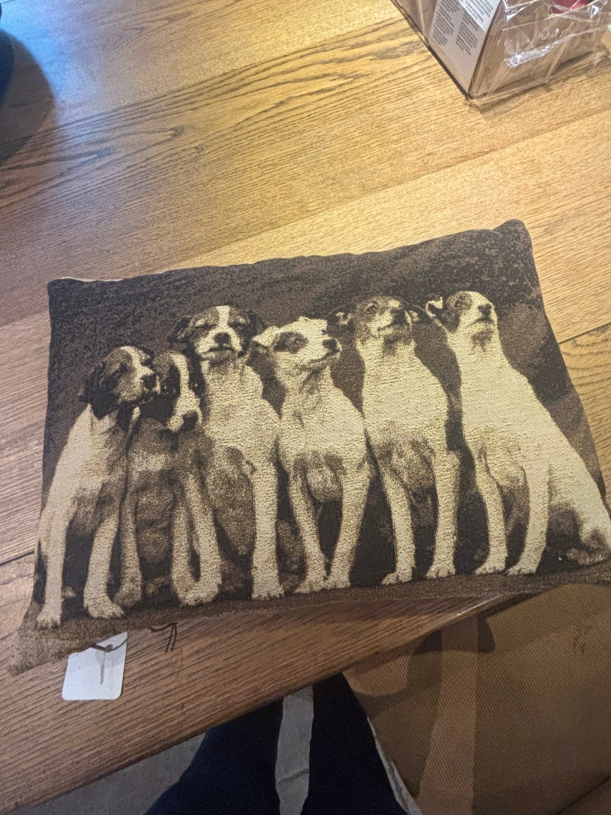 Jack russell kussen te koop , nieuw 40x30 cm, Overige merken, Wit, Vierkant, Nieuw
