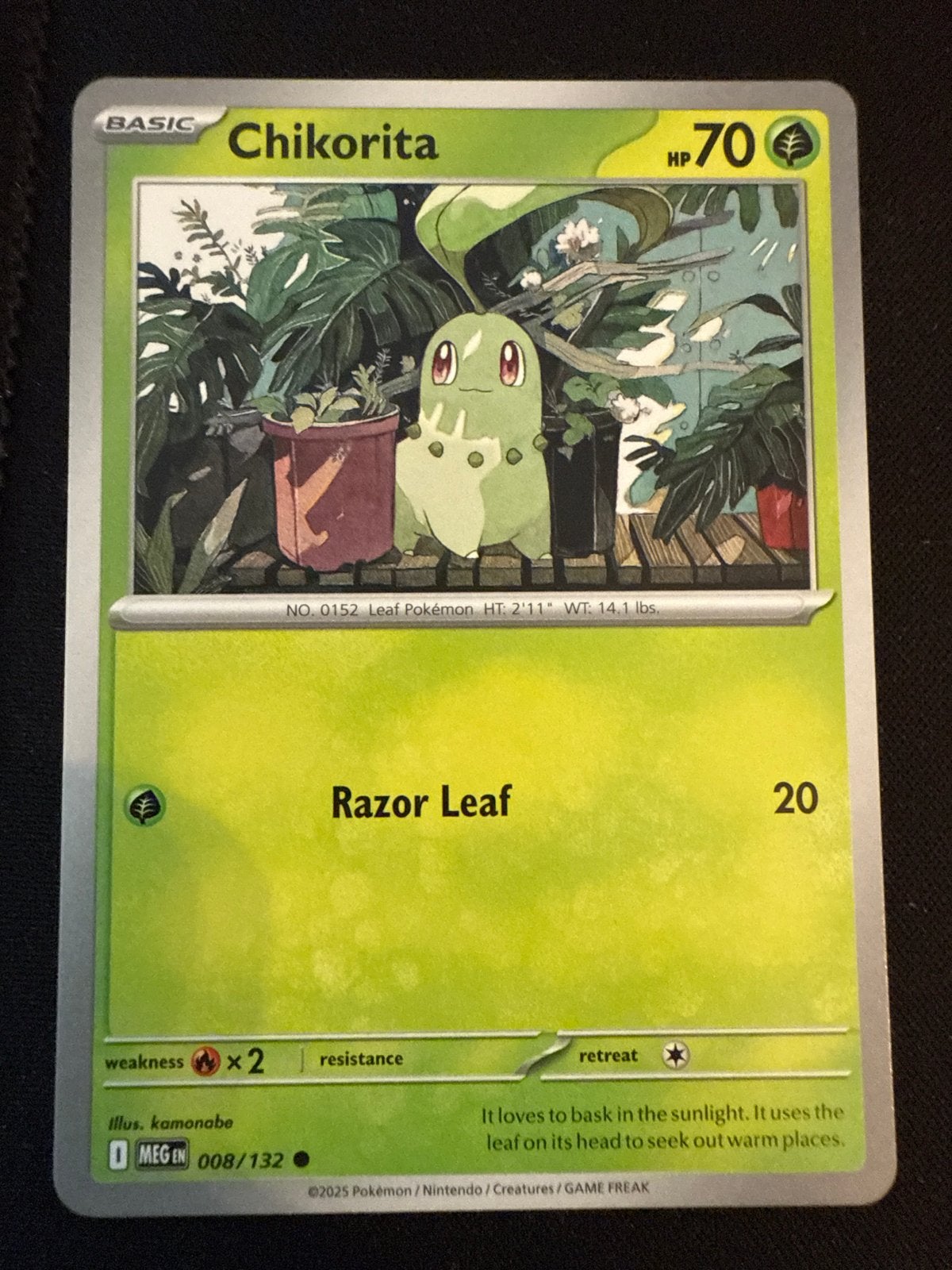 Pokémon Kaart Chikorita 008/132 Basic HP70, Ophalen of Verzenden, Zo goed als nieuw, Losse kaart