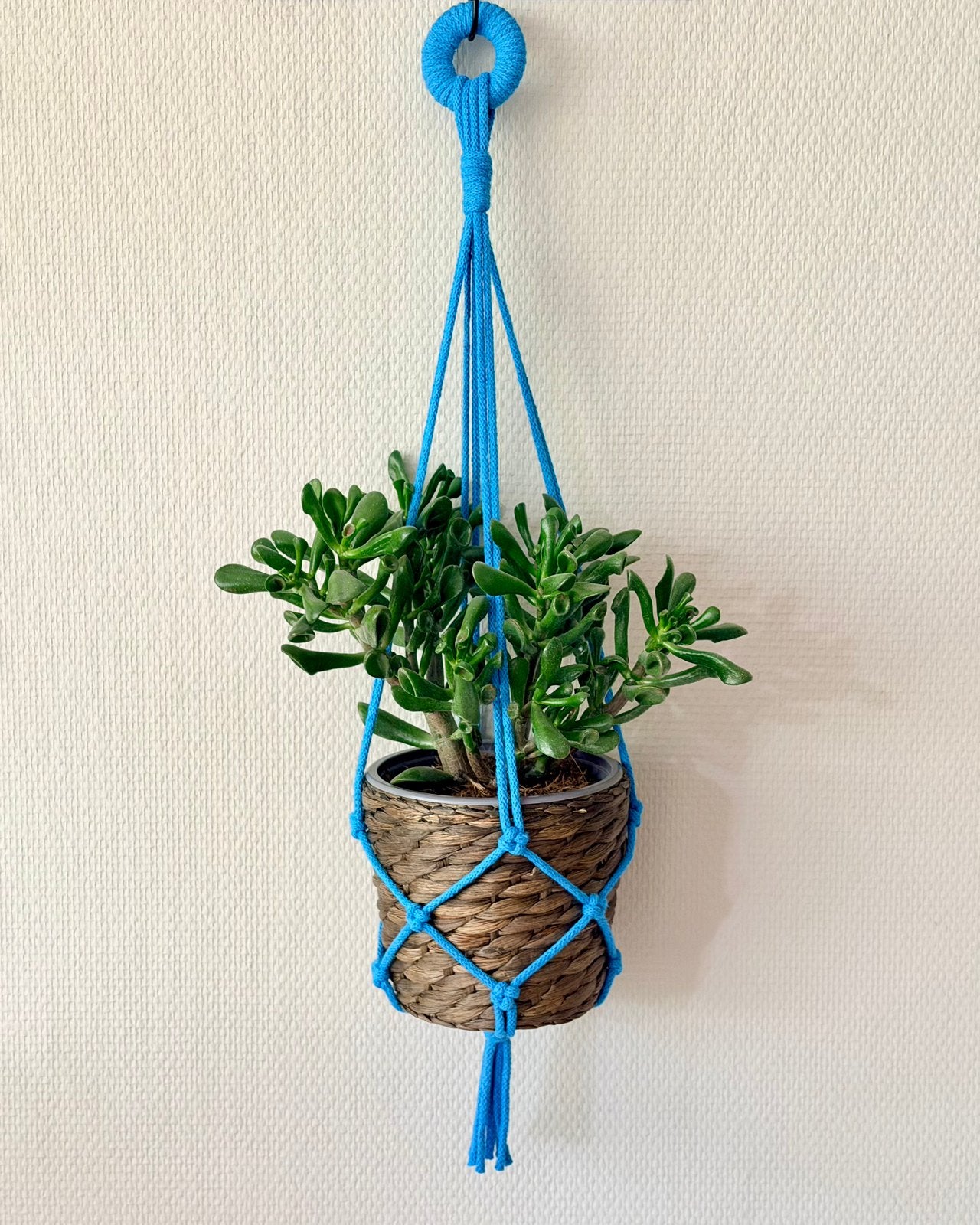 Helderblauwe plantenhanger - handgemaakt/macramé - 71 cm, Blauw, Nieuw, Ophalen of Verzenden, Modern