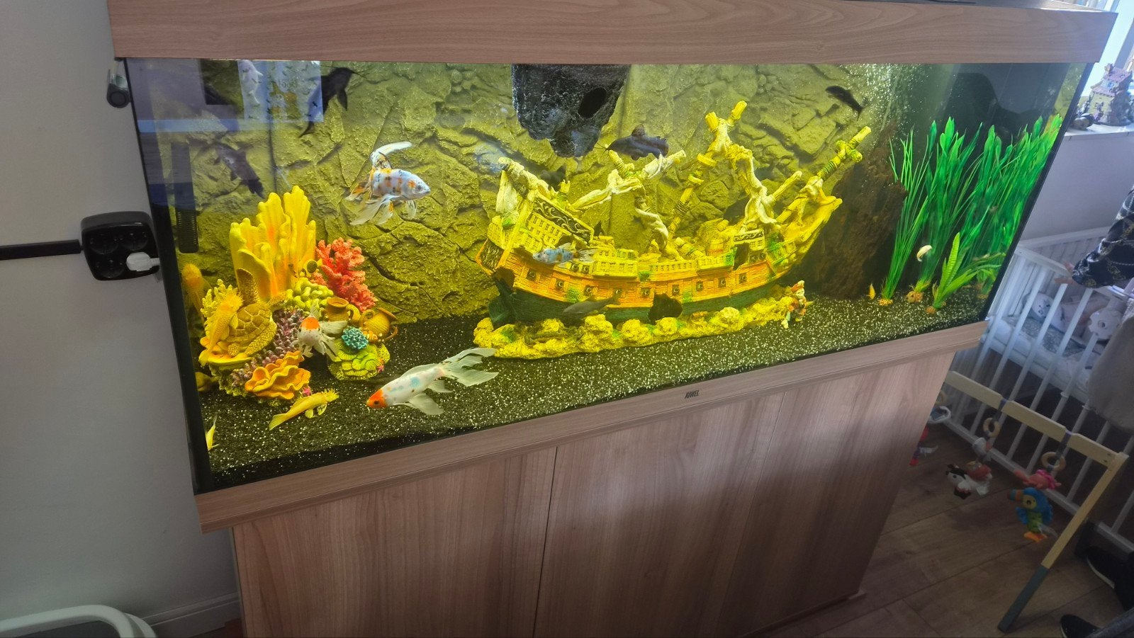 Groot Compleet Nieuwstaat Aquarium, Dieren en Toebehoren, Ophalen