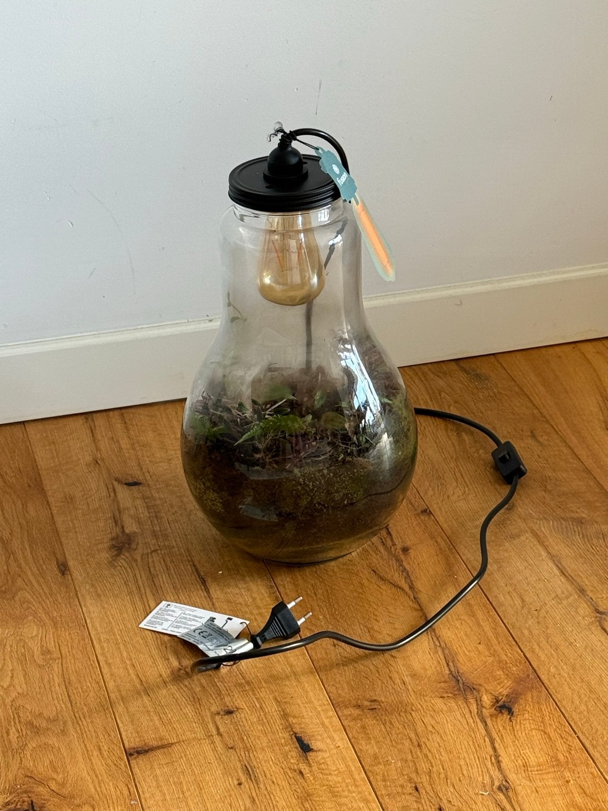 Terrarium lamp in gloeilamp vorm - Fusion Colors, Overige merken, Meerkleurig, Nieuw, E27 (groot)