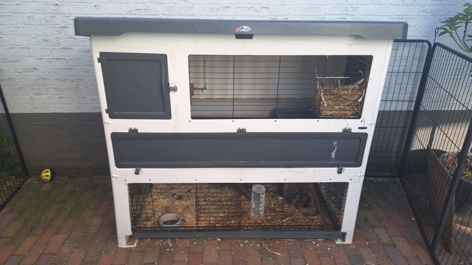Ferplast konijnenhok Grand Lodge, Dieren en Toebehoren, Ophalen, 90 cm of meer, Konijn, Hok