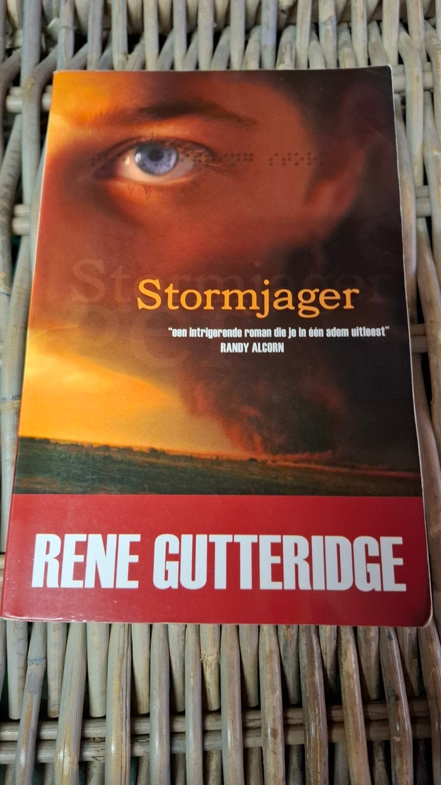 Rene Gutteridge - Stormjager, Ophalen of Verzenden, Zo goed als nieuw, Rene Gutteridge