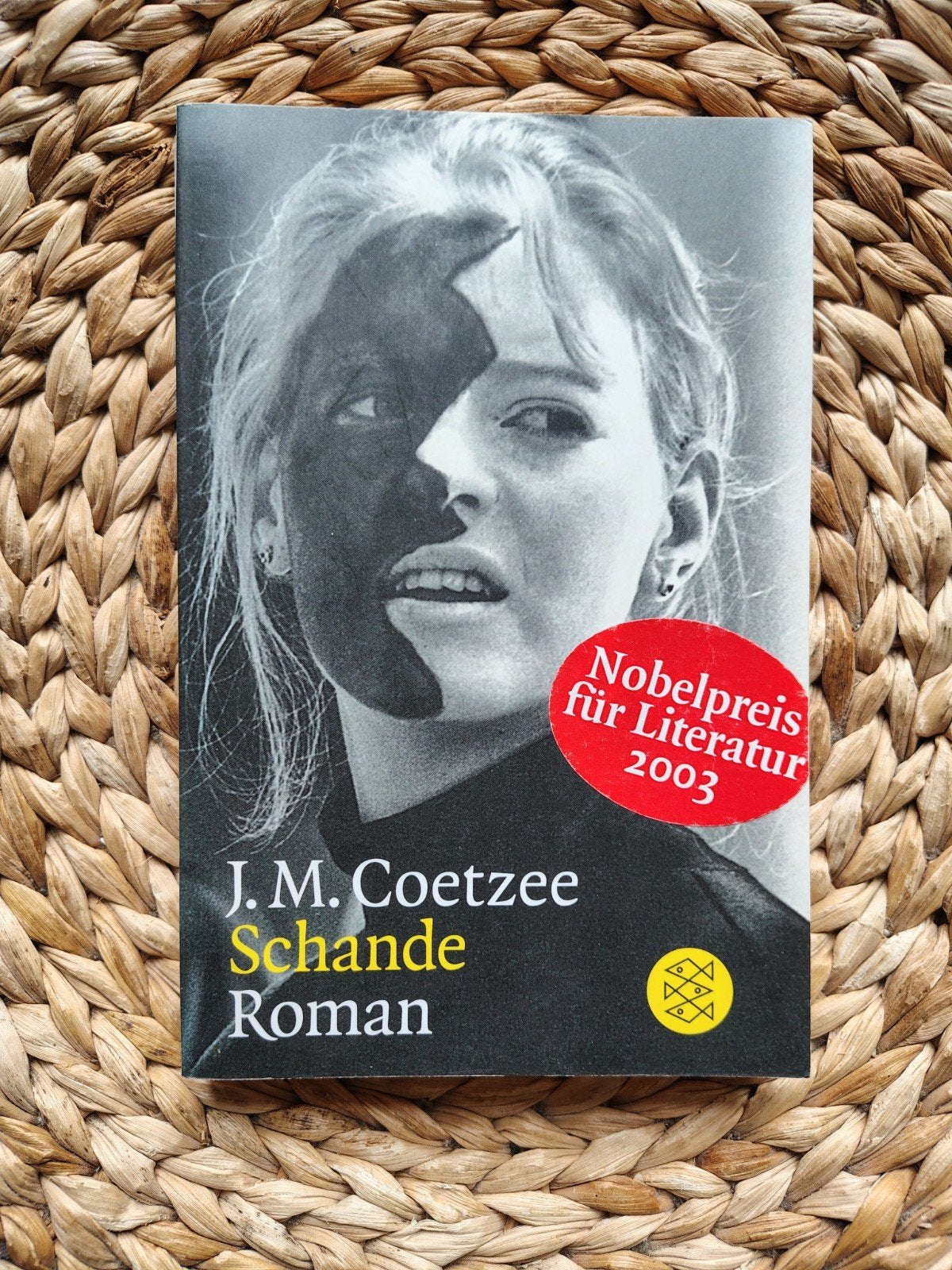 J.M. Coetzee - Schande, Boeken, Ophalen of Verzenden, Zo goed als nieuw