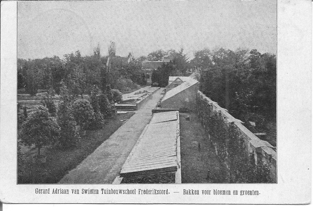 Oude Ansichtkaart Frederiksoord Tuinbouwschool, Verzamelen, Ophalen of Verzenden, Voor 1920, Gelopen, Drenthe