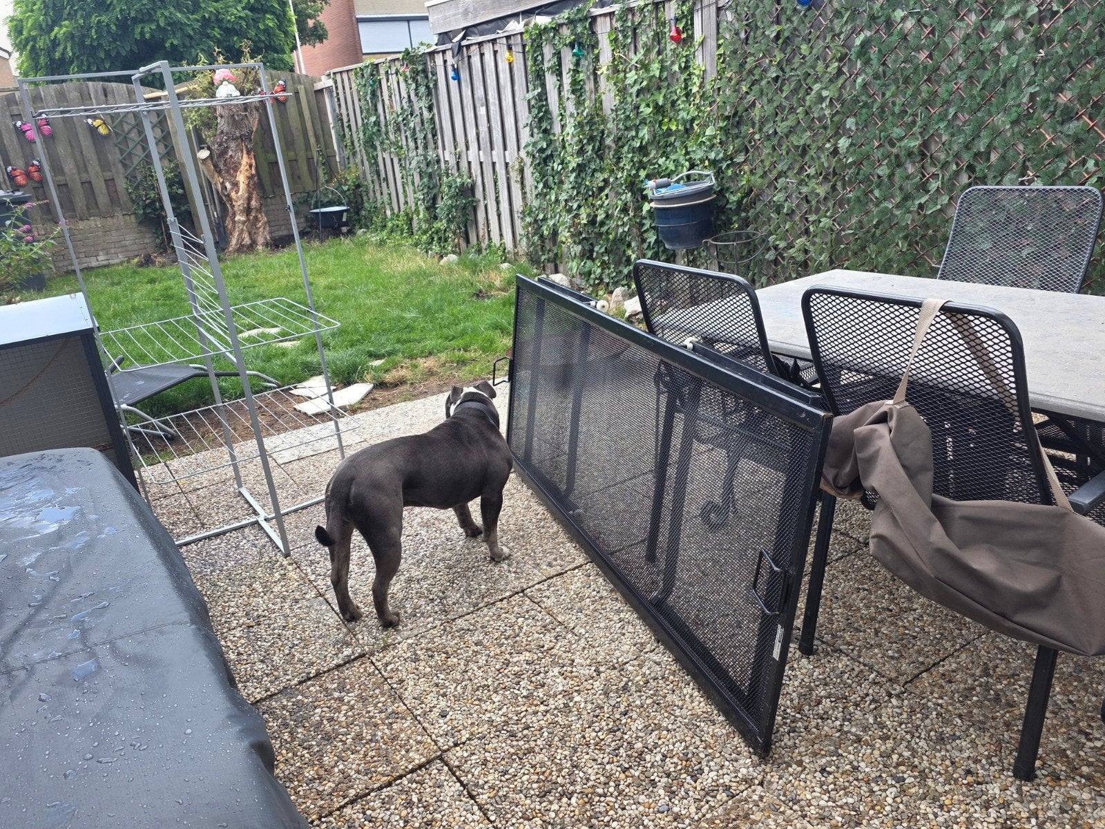 Gratis logeerbed spiraal met opklapbare poten, Ophalen, Eenpersoons, Metaal, 80 cm