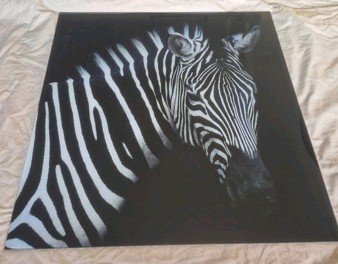 glazen schilderij zebra, 80x80 cm, Ophalen, Zo goed als nieuw, 75 tot 100 cm, Foto of Poster