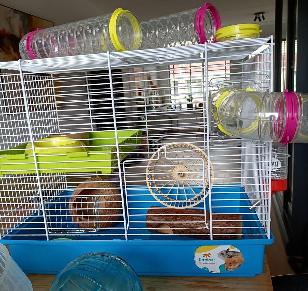 2 x Hamsterkooi met accessoires, Kooi, Minder dan 75 cm, Zo goed als nieuw, Ophalen