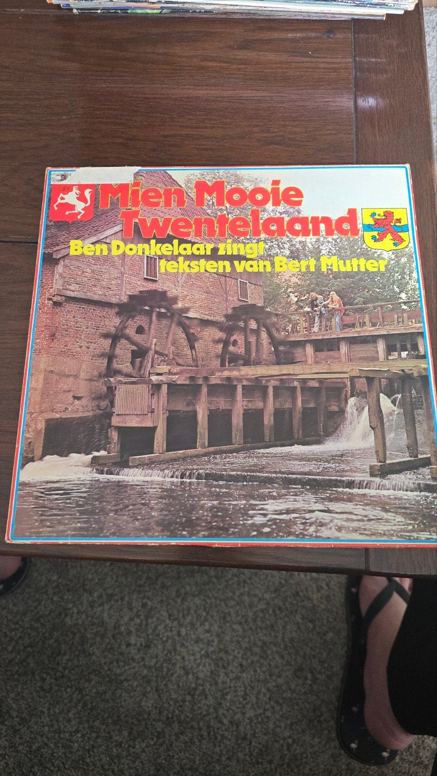 Mien Mooie Twentelaand - Ben Donkelaar (LP), LP, Gebruikt, Ophalen of Verzenden, 12 inch