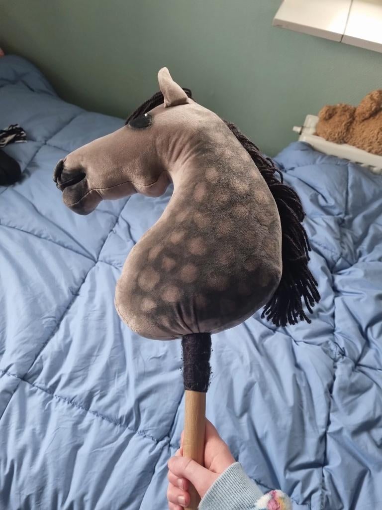 Hobbyhorse, Ophalen of Verzenden, Zo goed als nieuw, Jongen of Meisje