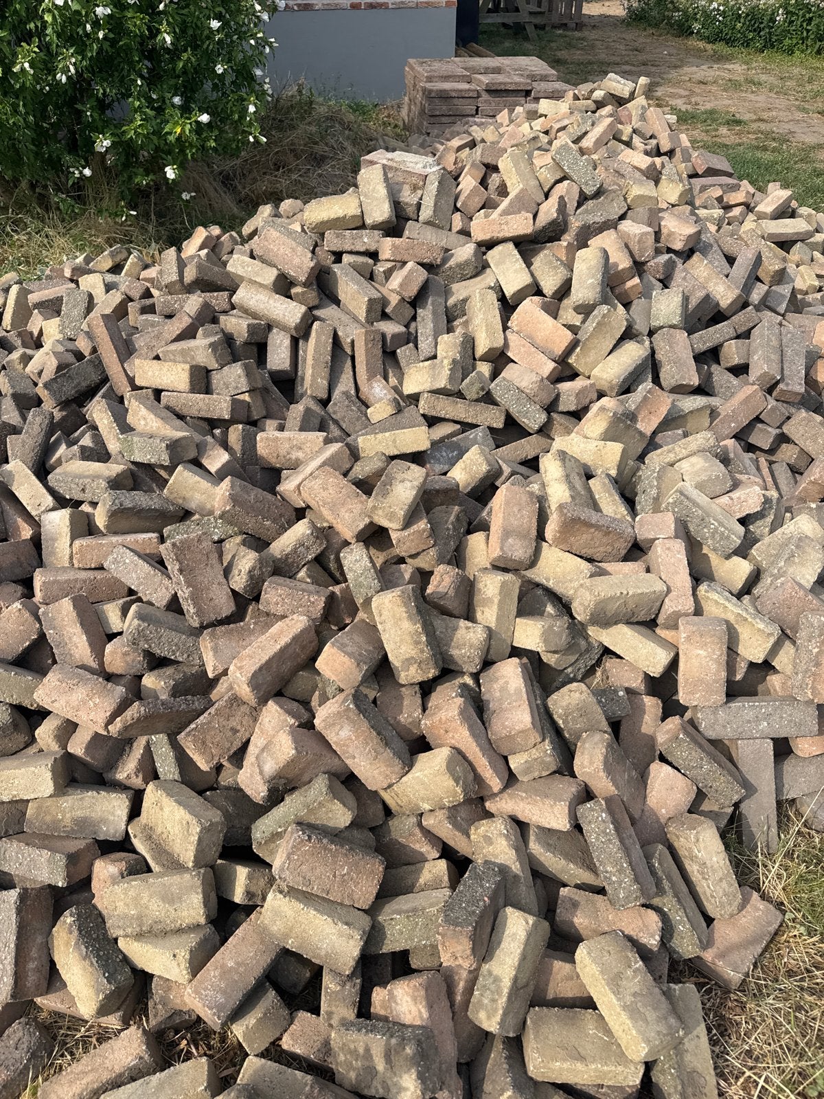 Gratis af te halen: Beton klinkers, Gebruikt, Klinkers, Ophalen of Verzenden, 10 m² of meer