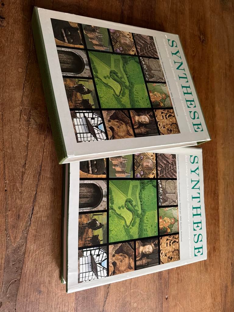 Synthese: Twaalf facetten van cultuur en natuur in Zuid-Limb, Boeken, Ophalen of Verzenden, Zo goed als nieuw, Nederland