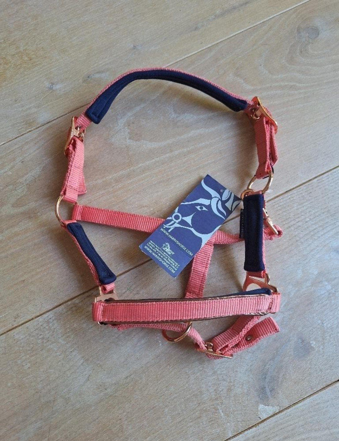 halster maat shet/veulen harry's horse, Dieren en Toebehoren, Ophalen of Verzenden, Nieuw