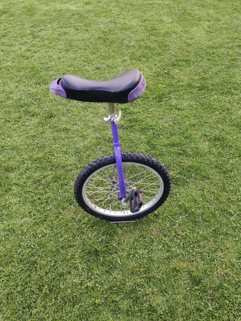 Eénwieler 20 inch - Paars, Ophalen, Gebruikt