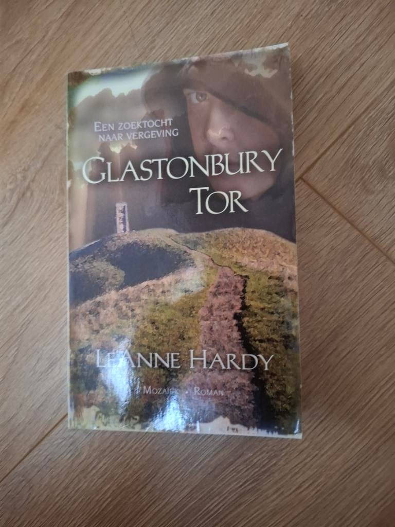 Glastonbury Tor - Leanne Hardy (Roman), Boeken, Ophalen of Verzenden, Gelezen, Leanne Hardy, Europa overig
