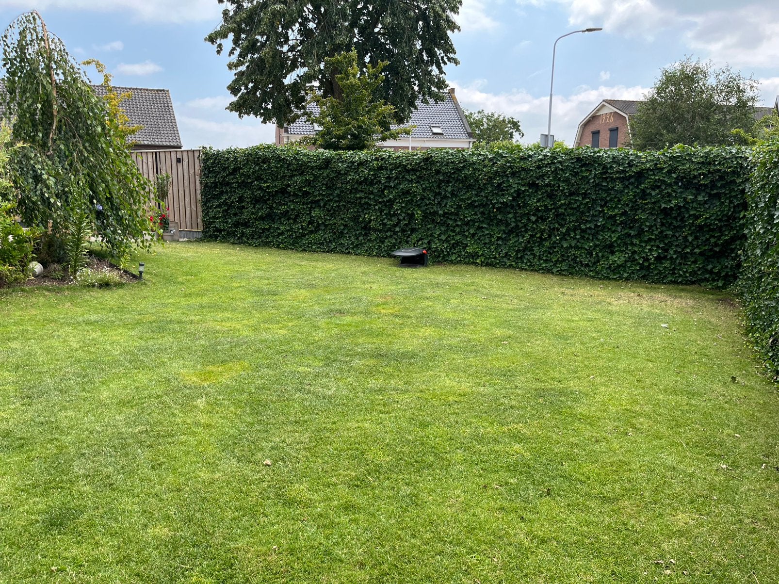 Gezocht: Aanleggen beregeningsinstallatie gazon (60 m²), Tuin en Terras, Gras en Kunstgras, Ophalen of Verzenden, Nieuw, 20 m² of meer