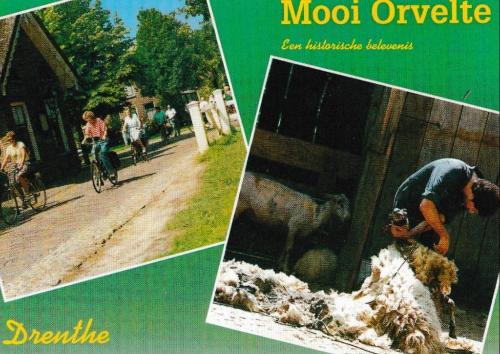 Orvelte         637, Ophalen of Verzenden, Voor 1920