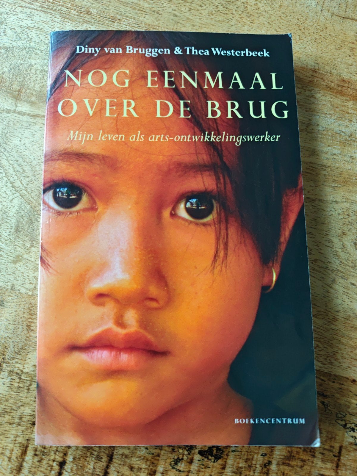 Nog Eenmaal Over De Brug, Boeken, Ophalen of Verzenden, Zo goed als nieuw, Diny van Bruggen & Thea Westerbeek, Overige